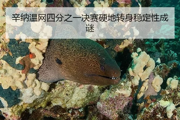 辛纳温网四分之一决赛硬地转身稳定性成谜