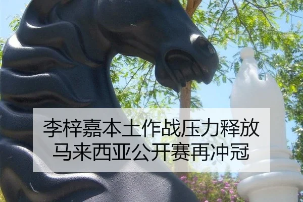 李梓嘉本土作战压力释放 马来西亚公开赛再冲冠