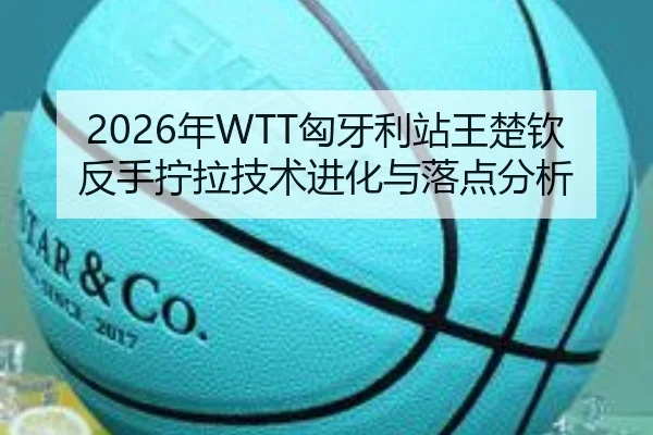 2026年WTT匈牙利站王楚钦反手拧拉技术进化与落点分析